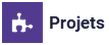 Module de gestion des projets de Zelo ERP